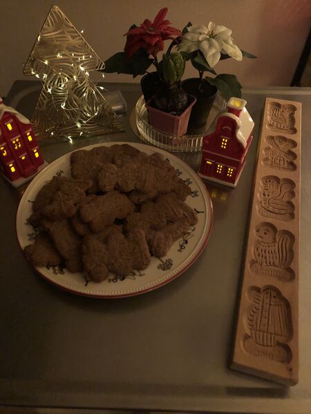File:Advent 2022 Day 23 04.jpg